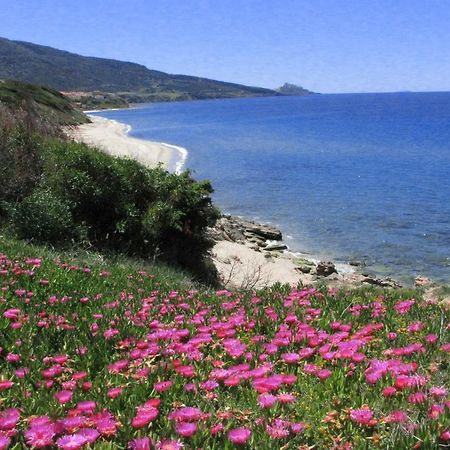 Residenza Sul Mare Aparthotel Valledoria Kültér fotó