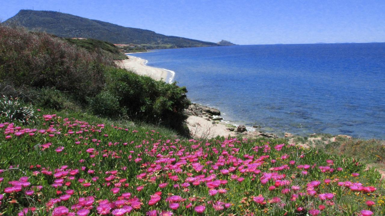 Residenza Sul Mare Aparthotel Valledoria Kültér fotó